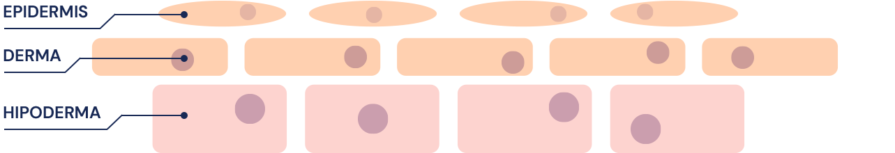 Skin Layers